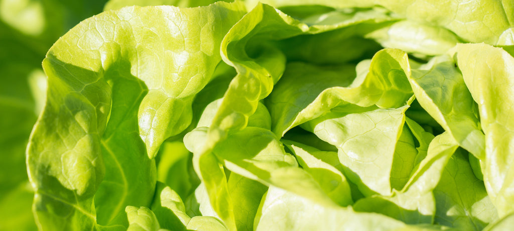 Nutritional & Intuitive Consultations